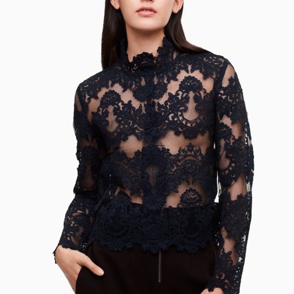 Babaton 1-01 Varda Lace Blouse - Picture 5 of 5